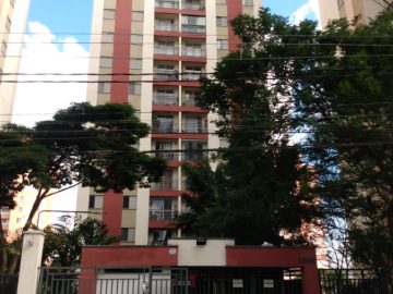 Apartamento - Aluguel - Vila Carrão - São Paulo - SP